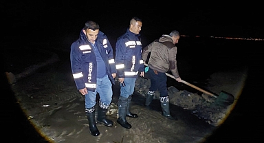 2 ton inci kefali kurtarıldı   