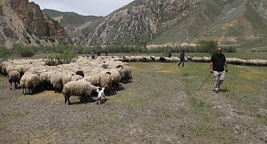 200 besiciye 4 bin küçükbaş hayvan dağıtımı
