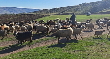 3 bin rakımda buluştular