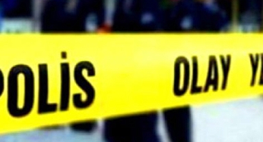 Ağabeyini kalbinden bıçaklayarak öldürdü!