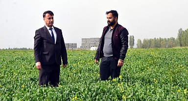  Beklenti arttı! Yüzde 100 verim bekliyoruz...