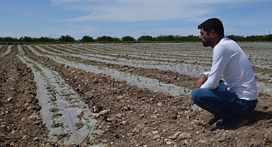 Deprem tarımı da vurdu, mevsimlik işçi bulunamıyor