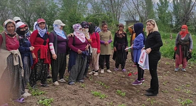 Doğada bulunurken kene popülâsyonuna dikkat!