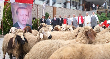 20 kurban kesti! Zafer kutlaması yaptı...