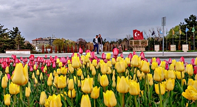 Erzurum’da lale zamanı