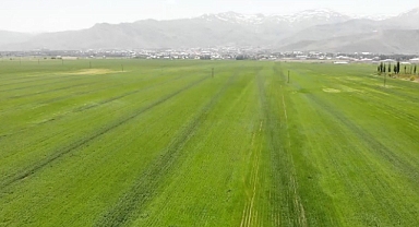 İhracatını en çok artıran ikinci il oldu   