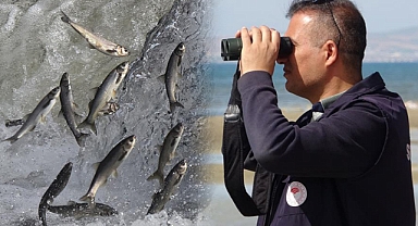 İnci kefali avcılarına göz açtırılmıyor