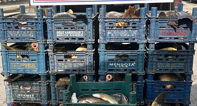 Kaçak avlanmaya geçit yok!