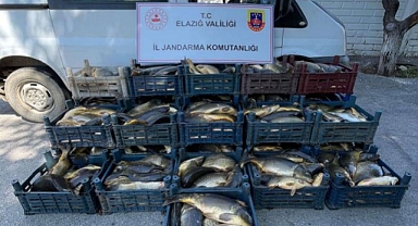 Kaçak balık avı yapan 3 şahsa, 49 bin lira ceza