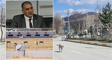 Kandilli'nin kandilini söndürmüşler!