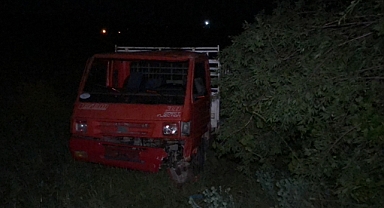 Köpeğe çarpan kamyonet şarampole uçtu