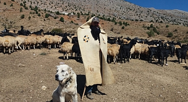 Meralar şenlendi