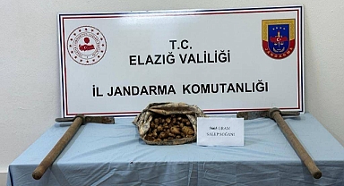 Salep soğanı toplayan şahıs suçüstü yakalandı