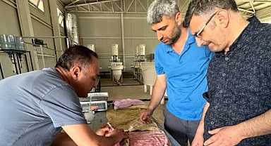 Stoklarında azalma tespit edilince çalışmalara başlandı                 