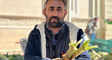 Tam bir şifa deposu: Tezgahlarda yerini aldı