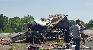 Tırla çarpışan kamyonetin sürücüsü öldü