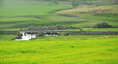 Türkiye’nin en büyük çayır ve mera alanları Erzurum’da