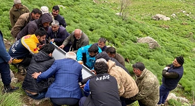 Yaban bitkisi toplayacaktı, feci halde can verdi