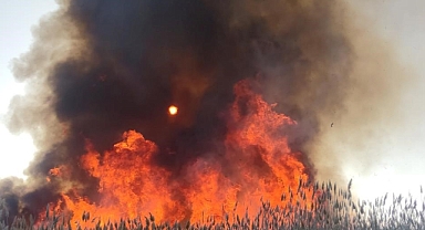 Yangınlar artıyor, sulak alanlar tehlikede