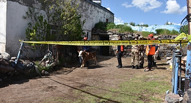 Yaşlı çifti ölüm bile ayıramadı!