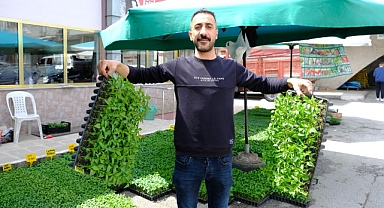 Yılın ilk fideleri