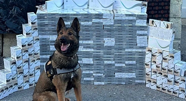 Yolcu otobüsünde 3 bin 400 paket kaçak sigara ele geçirildi