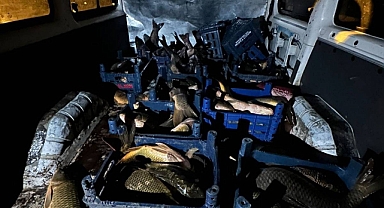 1 ton kaçak balık ele geçirildi   