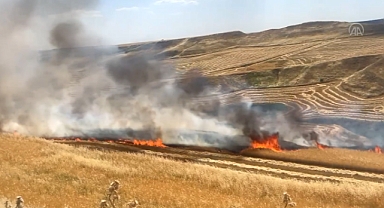 100 dönümlük arsa cayır cayır yandı