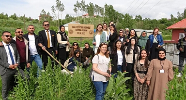 100 kadın, 100 fidan!