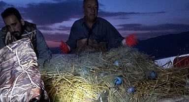 100 kilogram balık tekrar suya bırakıldı