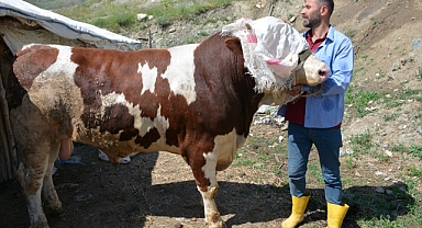 130 bin liradan satışa çıkarıldı!