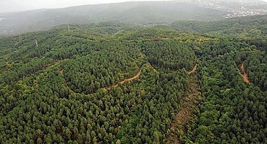 AĞAÇLANDIRMA VE TOPRAK MUHAFAZA SAHALARININ KONTROLÜ HİZMETİ ALINACAKTIR