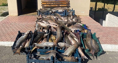 6,5 ton kaçak avlanmış balık ele geçirildi
