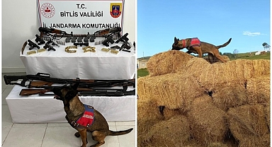 6 ilde silah kaçakçılığı operasyonu