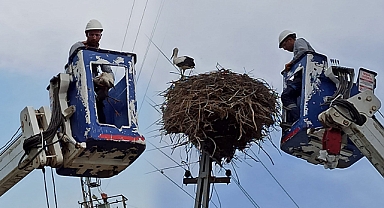 Aç Kalan Leylek Yavruları Kurtarıldı