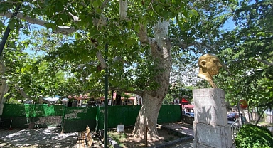 Ağırlığını kaldıramayınca güçlendirildi 