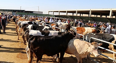 Bakanlık duyurdu; kurallara uymayanlara ceza yağacak!