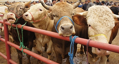 Bakanlık tedbir aldı! 3 bin 30 lira ceza uygulanacak