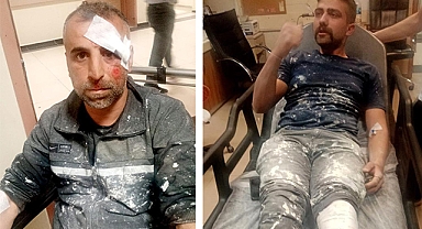 Sokak köpekleri saldırdı; 2  yaralı