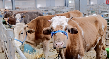 Bayram hazırlıkları tamam