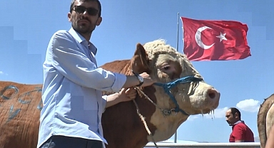 Bayram zamlara kurban! Kurbanlık ikiye katlandı!