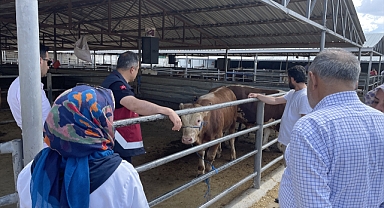 Binlerce kurbanlık sahibini bekliyor!