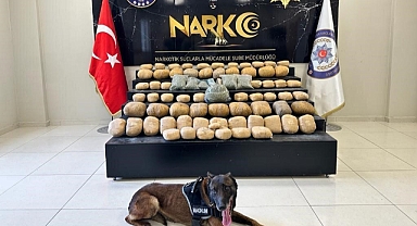 Bir haftada 81 kilo uyuşturucu ele geçirildi  