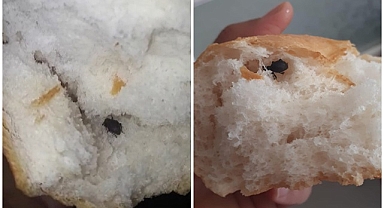 Bir haftada üçüncü vaka! Bu defa da hamam böceği çıktı    