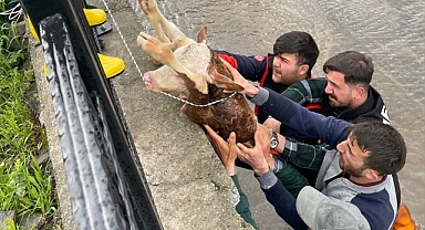 Boğulmaktan son anda kurtarıldı!