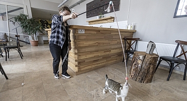 Buz müzesinin maskotu oldu