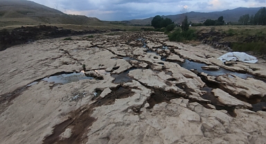 Çay kurudu, yavru inci kefalleri mahsur kaldı   