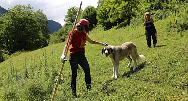 Çektiği videolar gelir kapısı oldu