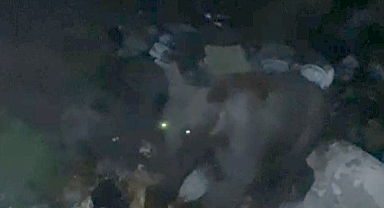 Çöpten beslenirken yakalandı