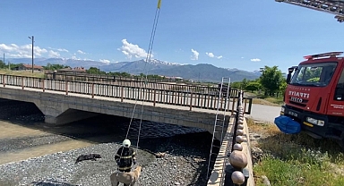 Dere yatağında mahsur kalan köpek kurtarıldı